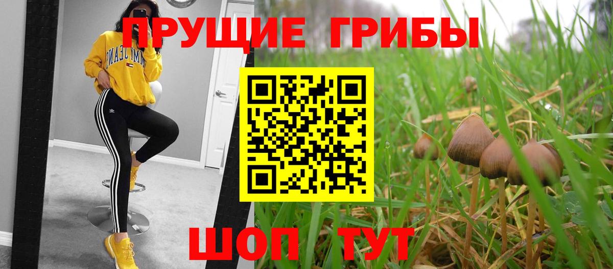 Псилоцибиновые грибы MAGIC MUSHROOMS Советск