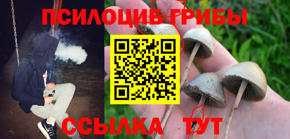 Советск  Псилоцибиновые грибы ЛСД  Вход с VPN  Галлюциногенные грибы Magic Shrooms 